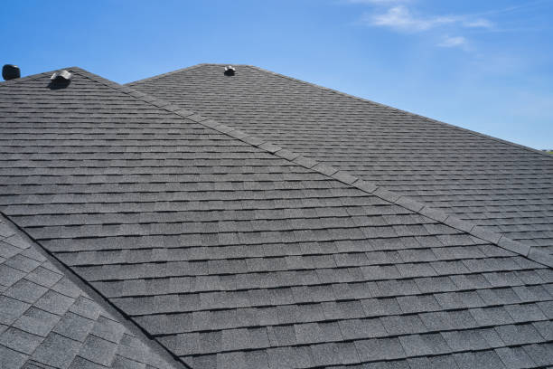 Best Roof Moss and Algae Removal  in Whitley City, KY
